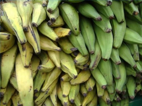 Tipos de Plantain Bananas