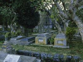 Como encontrar um cemitério em Nova Orleans