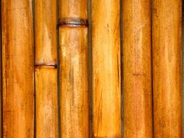 Como identificar Bamboo Fly Fishing Rods