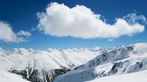 Quais são Backcountry Downhill Skis?