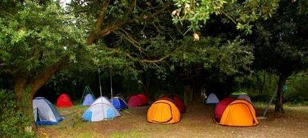 Campgrounds ao redor de Chester, California