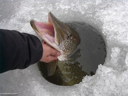 Informações sobre a pesca no gelo em Mosquito Lake, Ohio