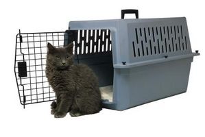 Os regulamentos aéreos para animais de estimação Crates