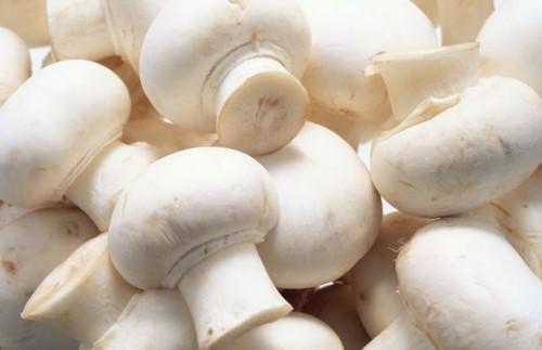 Como saber se os cogumelos são Expired