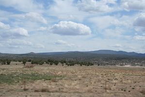 Espécie em vias de extinção no deserto de Mojave